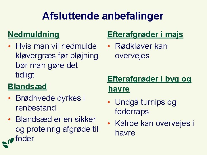 Afsluttende anbefalinger Nedmuldning • Hvis man vil nedmulde kløvergræs før pløjning bør man gøre