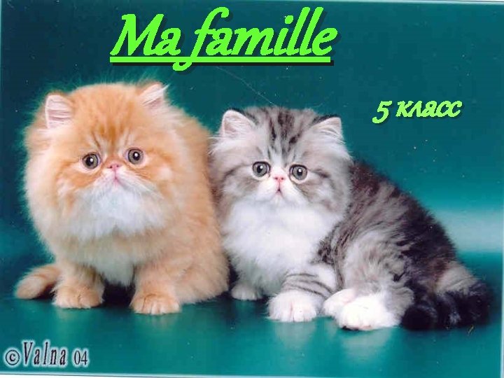 Ma famille 5 класс 