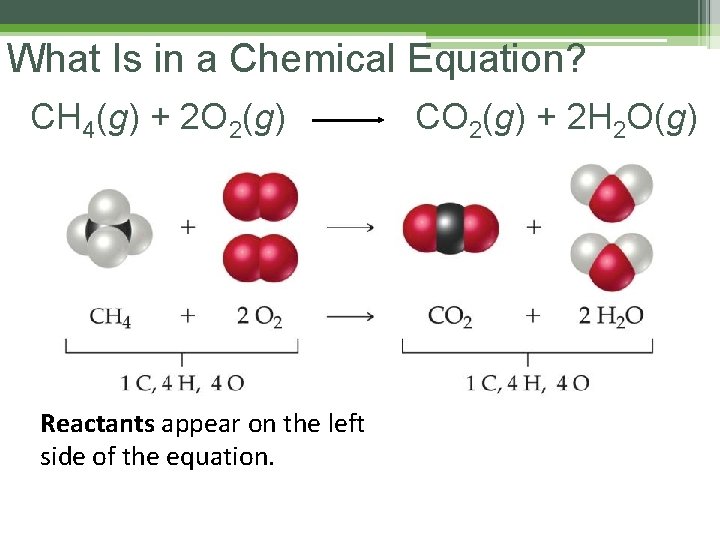 What Is in a Chemical Equation? CH 4(g) + 2 O 2(g) Reactants appear