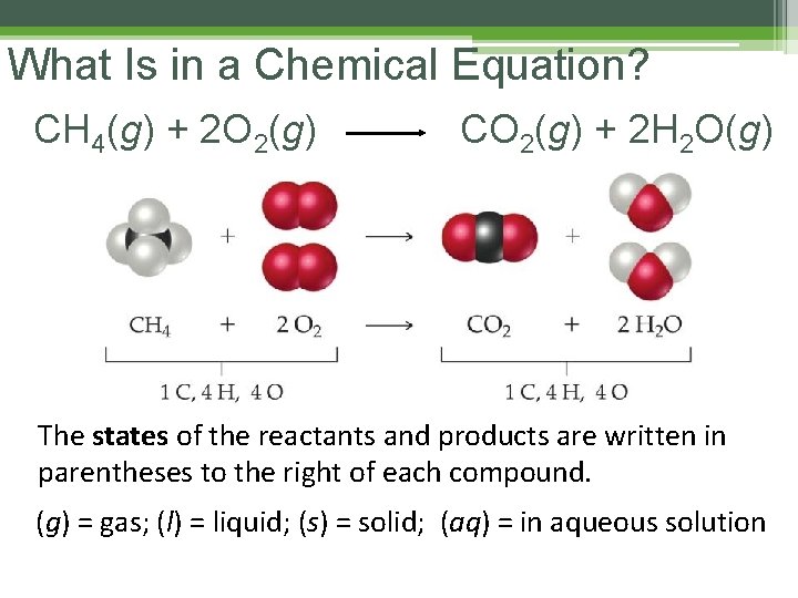 What Is in a Chemical Equation? CH 4(g) + 2 O 2(g) CO 2(g)
