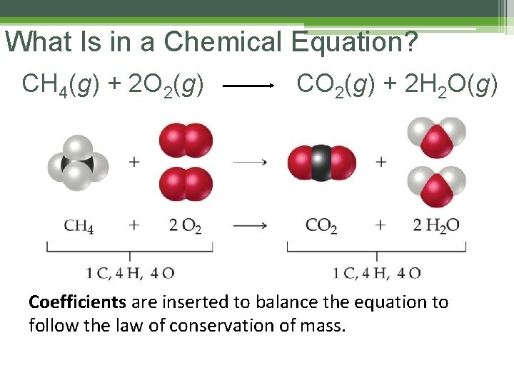 What Is in a Chemical Equation? CH 4(g) + 2 O 2(g) CO 2(g)