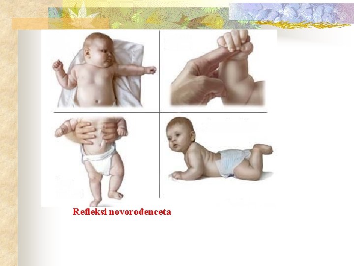 Refleksi novorođenceta 