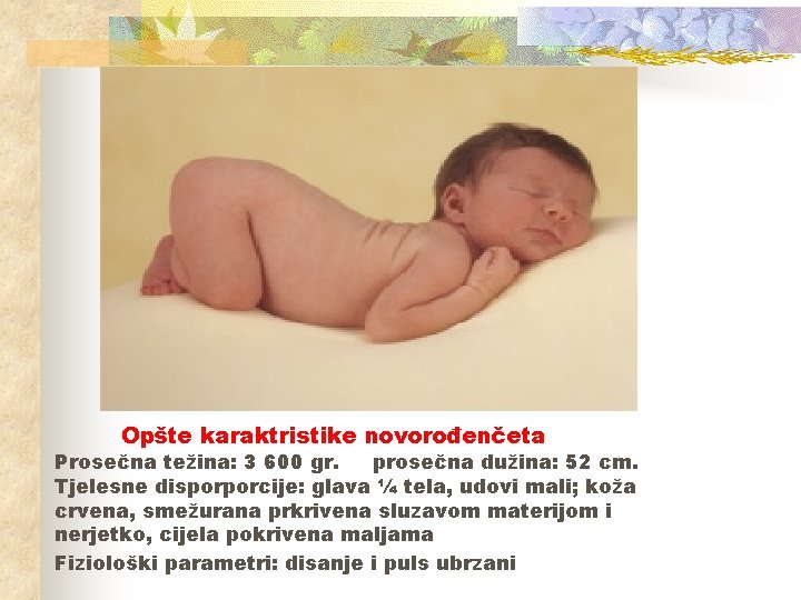 Opšte karaktristike novorođenčeta Prosečna težina: 3 600 gr. prosečna dužina: 52 cm. Tjelesne disporporcije: Opšte karaktristike novorođenčeta Prosečna težina: 3 600 gr. prosečna dužina: 52 cm. Tjelesne disporporcije: