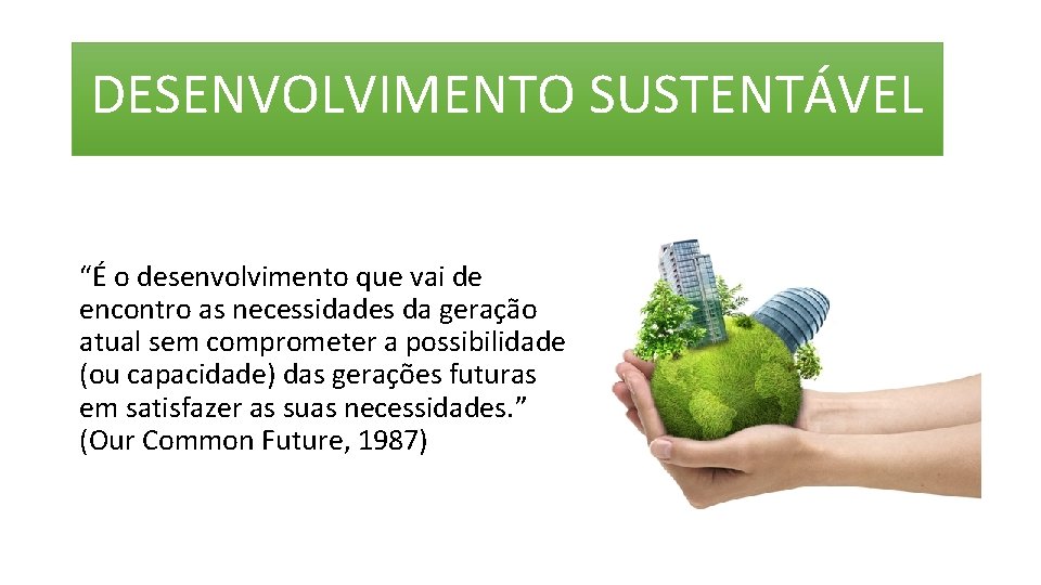 DESENVOLVIMENTO SUSTENTÁVEL “É o desenvolvimento que vai de encontro as necessidades da geração atual