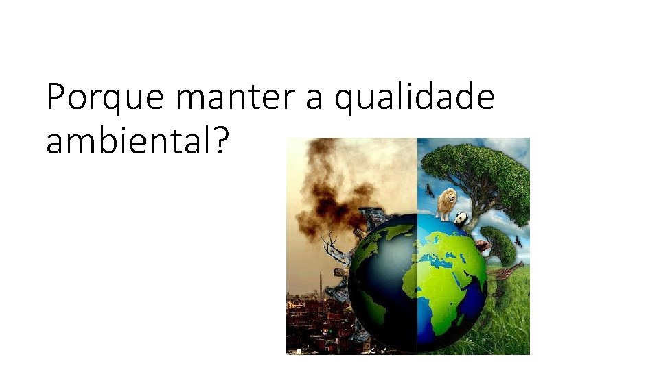 Porque manter a qualidade ambiental? 