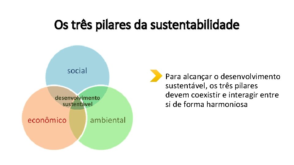 Os três pilares da sustentabilidade Para alcançar o desenvolvimento sustentável, os três pilares devem