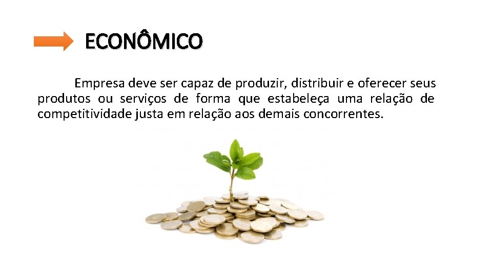 ECONÔMICO Empresa deve ser capaz de produzir, distribuir e oferecer seus produtos ou serviços