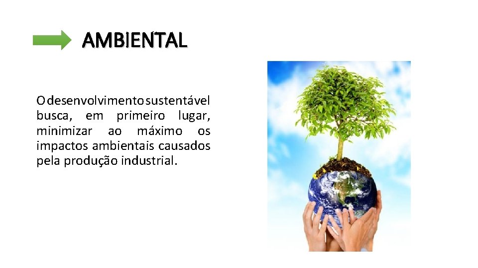 AMBIENTAL O desenvolvimento sustentável busca, em primeiro lugar, minimizar ao máximo os impactos ambientais