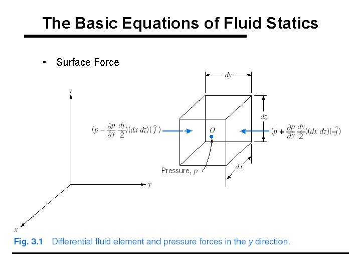 The Basic Equations of Fluid Statics • Surface Force 