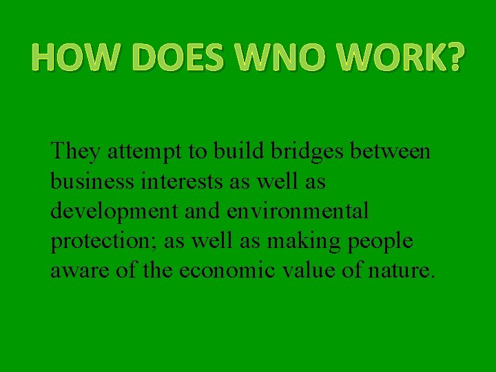 HOW DOES WNO WORK? They attempt to build bridges between business interests as well