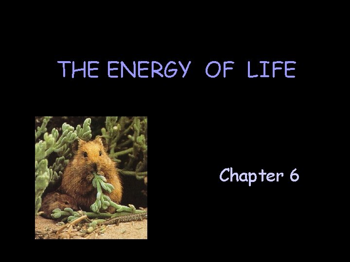 THE ENERGY OF LIFE Chapter 6 