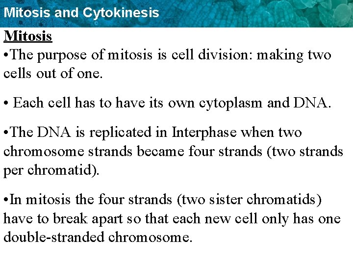 Mitosis and Cytokinesis Mitosis • The purpose of mitosis is cell division: making two