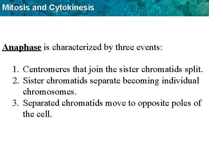 Mitosis and Cytokinesis Anaphase is characterized by three events: 1. Centromeres that join the