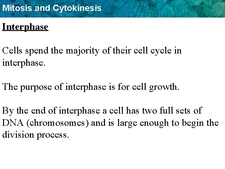 Mitosis and Cytokinesis Interphase Cells spend the majority of their cell cycle in interphase.
