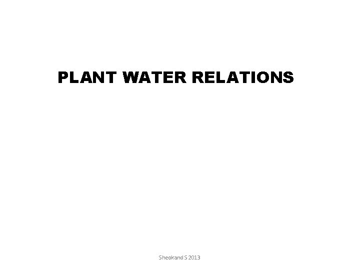 PLANT WATER RELATIONS Sheokand S 2013 