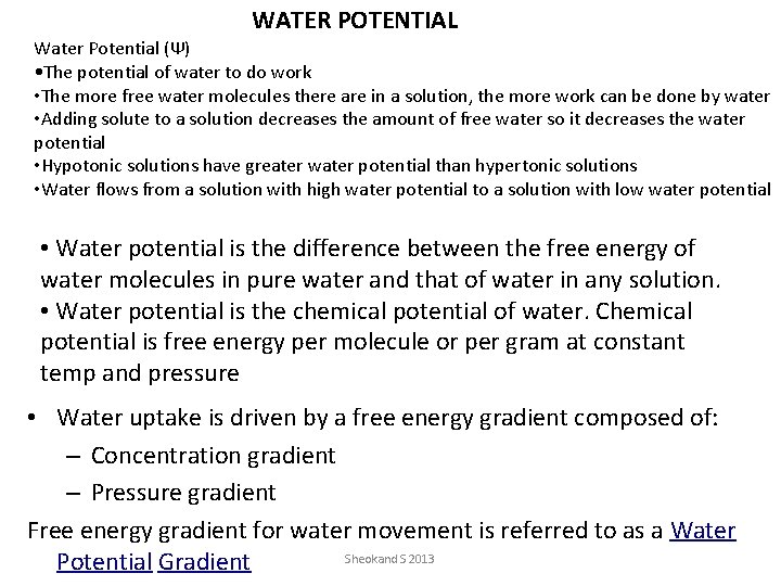 WATER POTENTIAL Water Potential (Ψ) • The potential of water to do work •