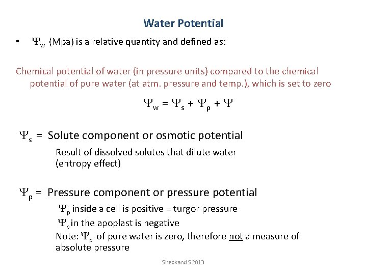 Water Potential • Yw (Mpa) is a relative quantity and defined as: Chemical potential