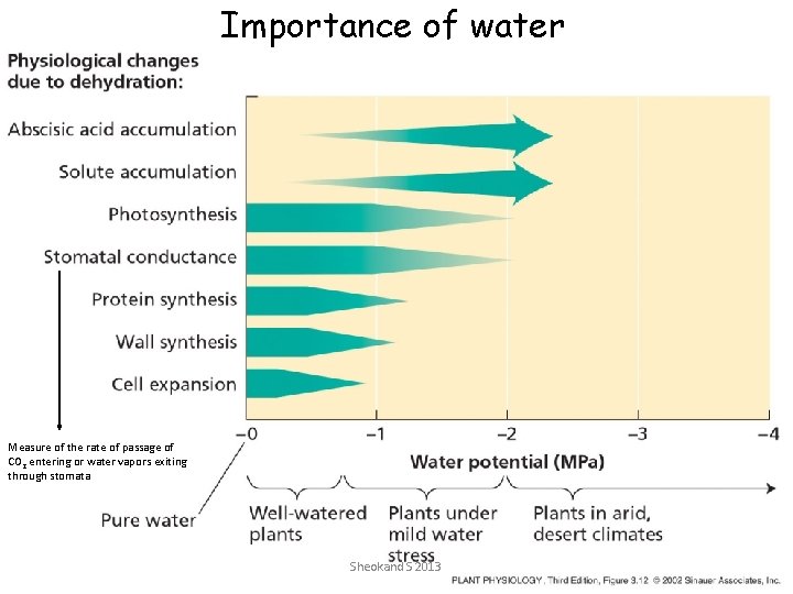 Importance of water Measure of the rate of passage of CO 2 entering or