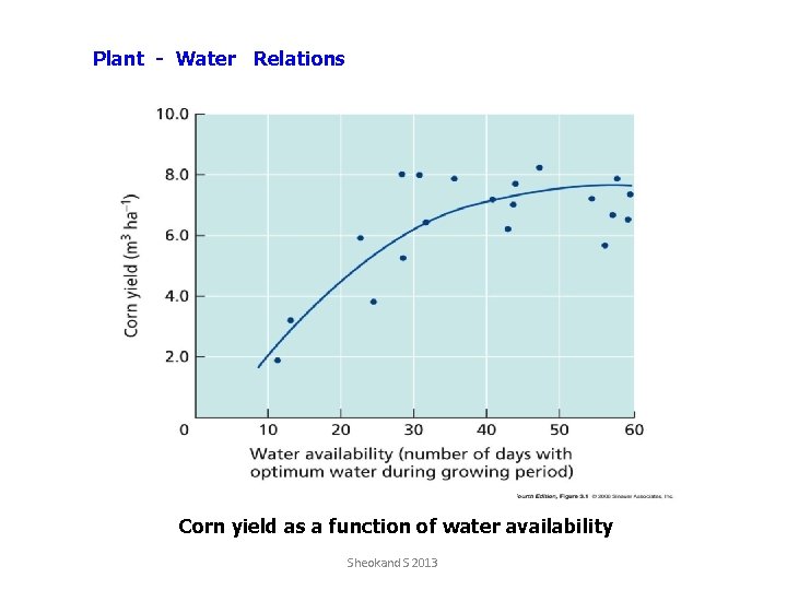 Plant - Water Relations Corn yield as a function of water availability Sheokand S