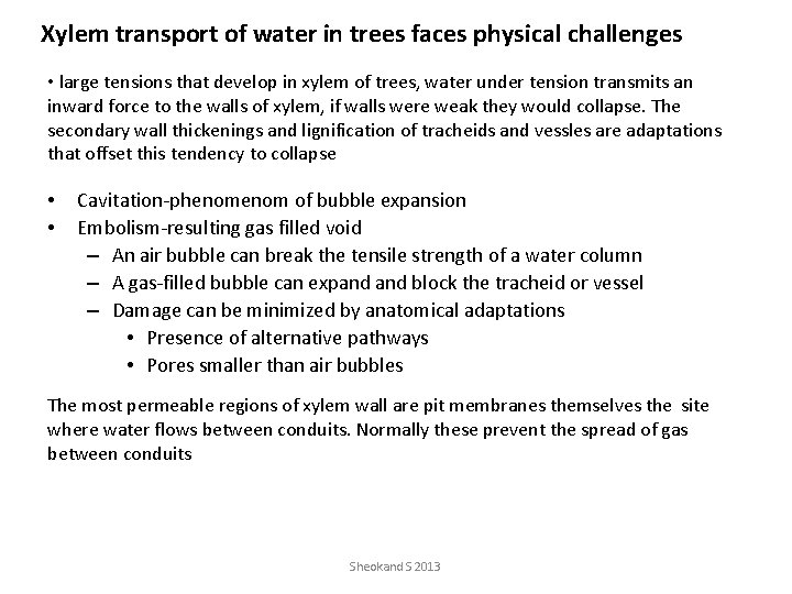 Xylem transport of water in trees faces physical challenges • large tensions that develop