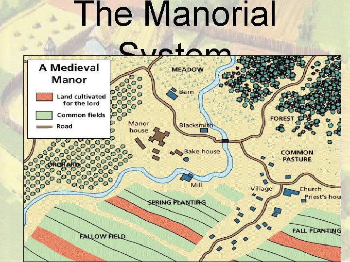 The Manorial System 