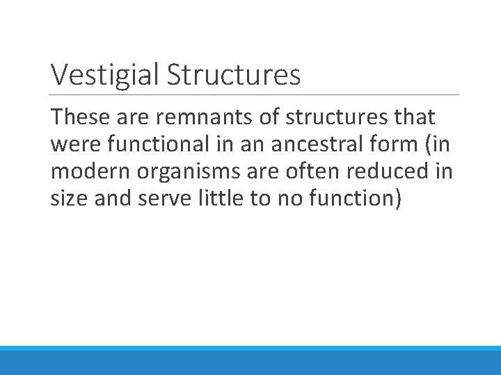 Vestigial Structures These are remnants of structures that were functional in an ancestral form
