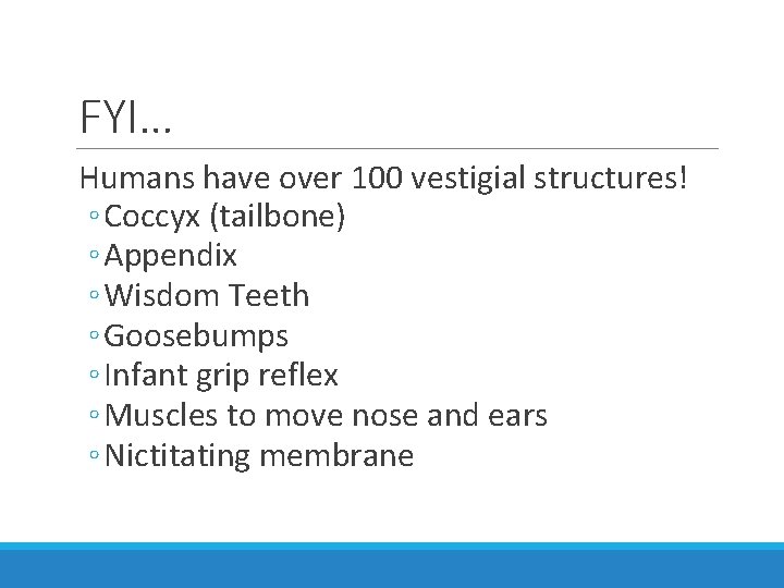 FYI… Humans have over 100 vestigial structures! ◦ Coccyx (tailbone) ◦ Appendix ◦ Wisdom