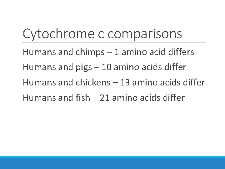 Cytochrome c comparisons Humans and chimps – 1 amino acid differs Humans and pigs