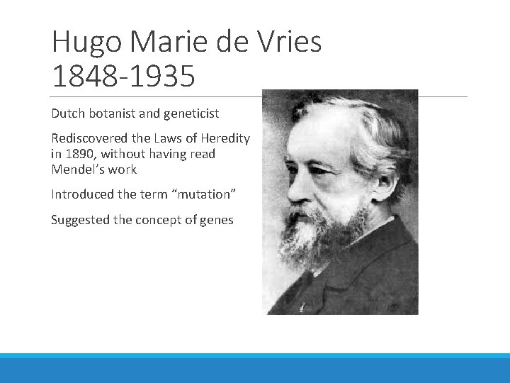 Hugo Marie de Vries 1848 -1935 Dutch botanist and geneticist Rediscovered the Laws of