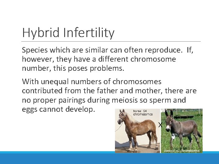 Hybrid Infertility Species which are similar can often reproduce. If, however, they have a