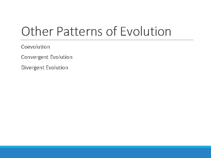 Other Patterns of Evolution Coevolution Convergent Evolution Divergent Evolution 