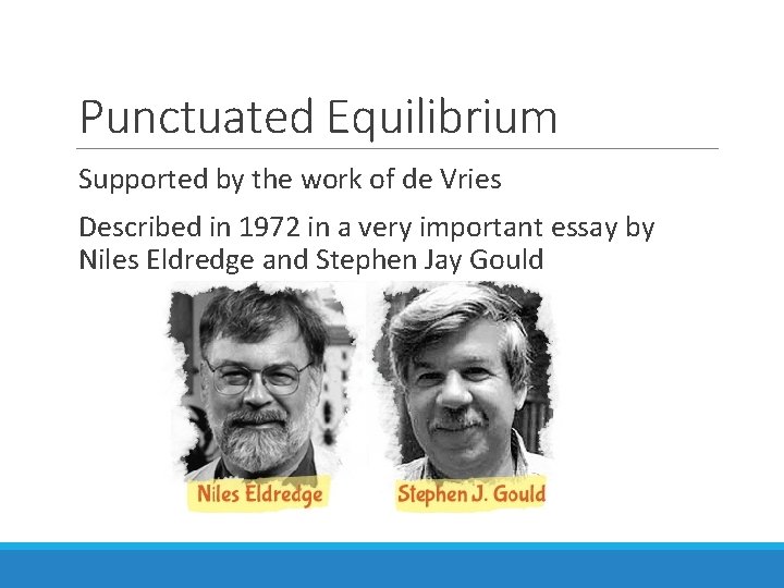 Punctuated Equilibrium Supported by the work of de Vries Described in 1972 in a