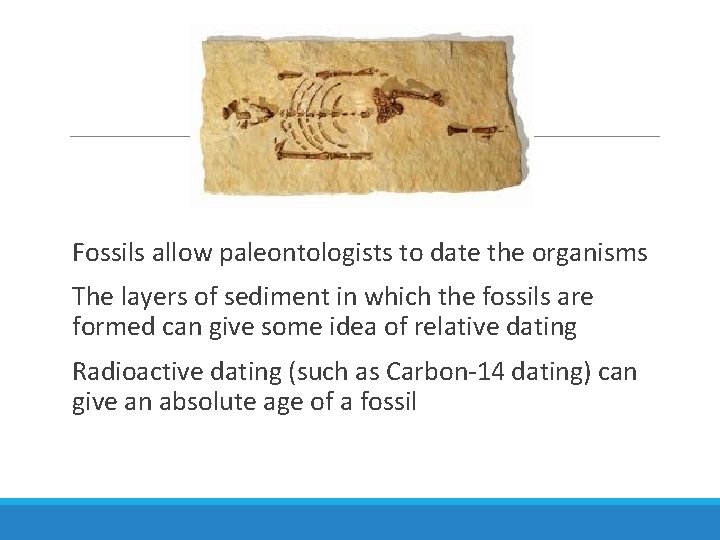 Fossils allow paleontologists to date the organisms The layers of sediment in which the