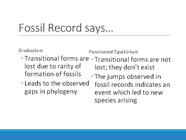 Fossil Record says… Gradualism Punctuated Equilibrium ◦ Transitional forms are not lost due to
