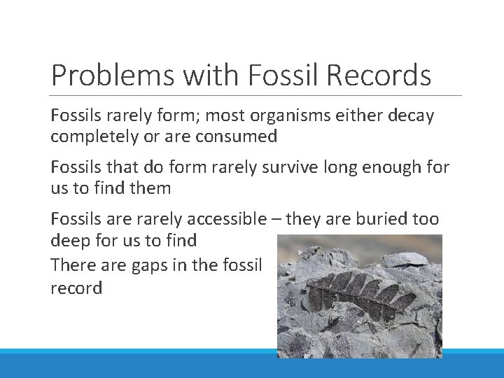 Problems with Fossil Records Fossils rarely form; most organisms either decay completely or are