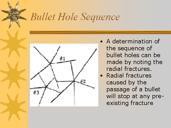 Bullet Hole Sequence • A determination of the sequence of bullet holes can be