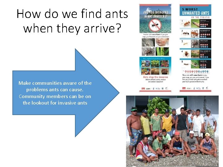 How do we find ants when they arrive? Make communities aware of the problems