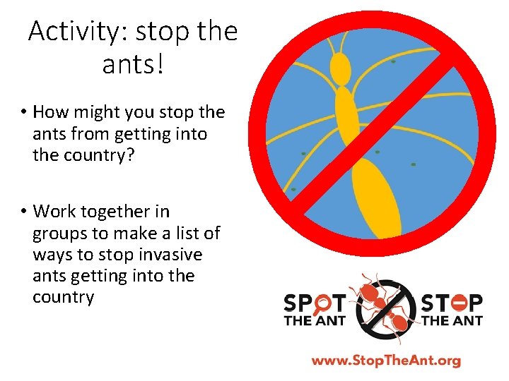 Activity: stop the ants! • How might you stop the ants from getting into