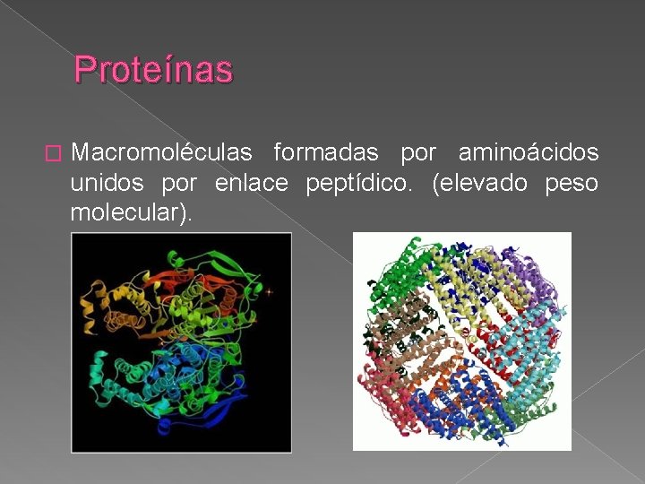 Proteínas � Macromoléculas formadas por aminoácidos unidos por enlace peptídico. (elevado peso molecular). 