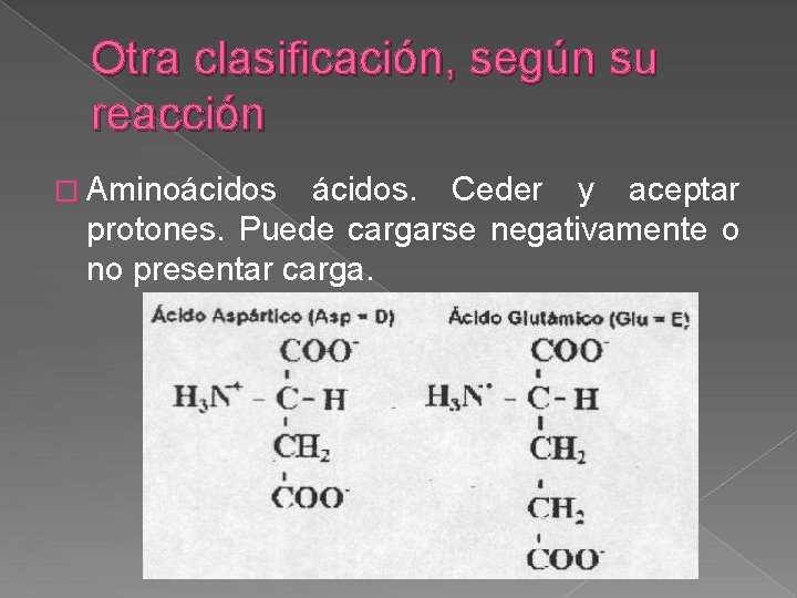 Otra clasificación, según su reacción � Aminoácidos. Ceder y aceptar protones. Puede cargarse negativamente