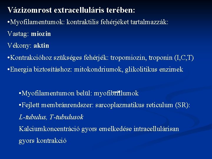 Vázizomrost extracelluláris terében: • Myofilamentumok: kontraktilis fehérjéket tartalmazzák: Vastag: miozin Vékony: aktin • Kontrakcióhoz