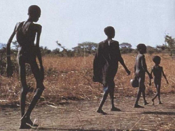 Hoje se fala muito da FOME no mundo. Quem não viu imagens de pessoas