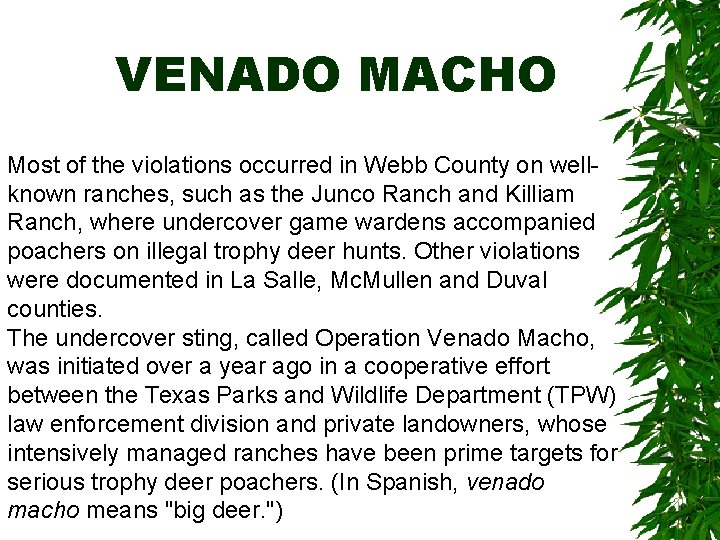 Kennedy Ranch Poaching Poaching Original by Adam Lodge Bo Love Bowen