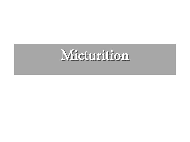 Micturition 