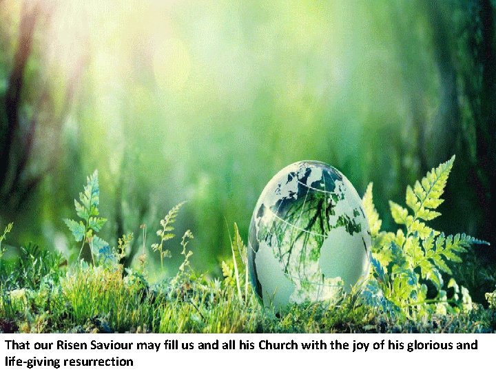 That our Risen Saviour may fill us and all his Church with the joy