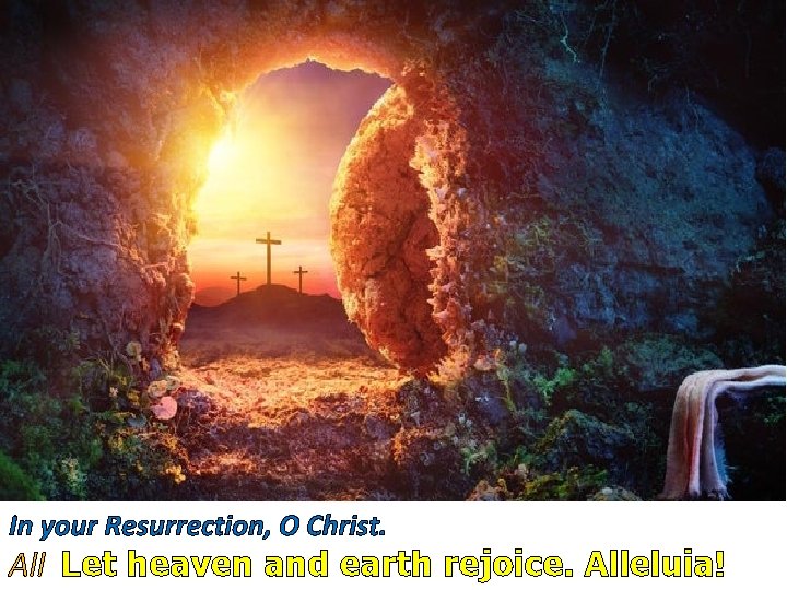 In your Resurrection, O Christ. All Let heaven and earth rejoice. Alleluia! 