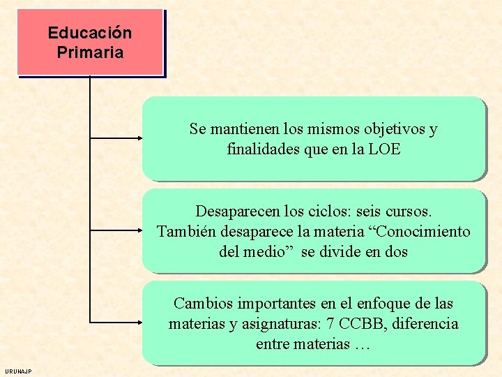 Educación Primaria Se mantienen los mismos objetivos y finalidades que en la LOE Desaparecen