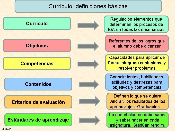 Currículo: definiciones básicas Currículo Regulación elementos que determinan los procesos de E/A en todas