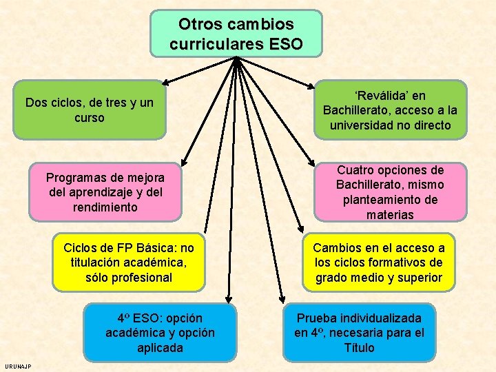 Otros cambios curriculares ESO Dos ciclos, de tres y un curso Programas de mejora