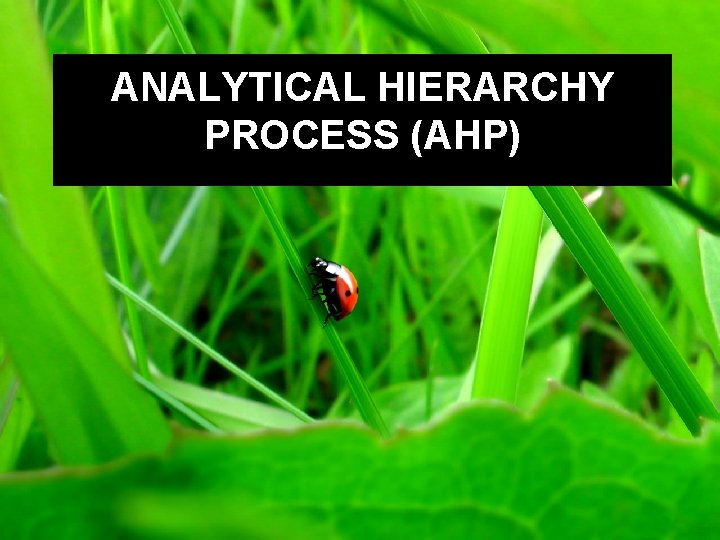 ANALYTICAL HIERARCHY PROCESS (AHP) 